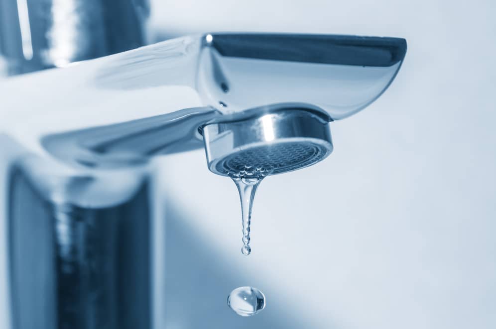 A dripping water faucet needs to be fixed as it can favor an infestation.