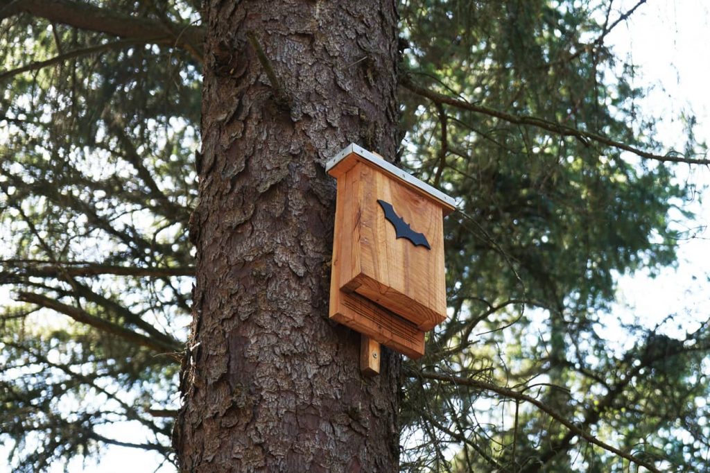 Build a bat house for the bats.