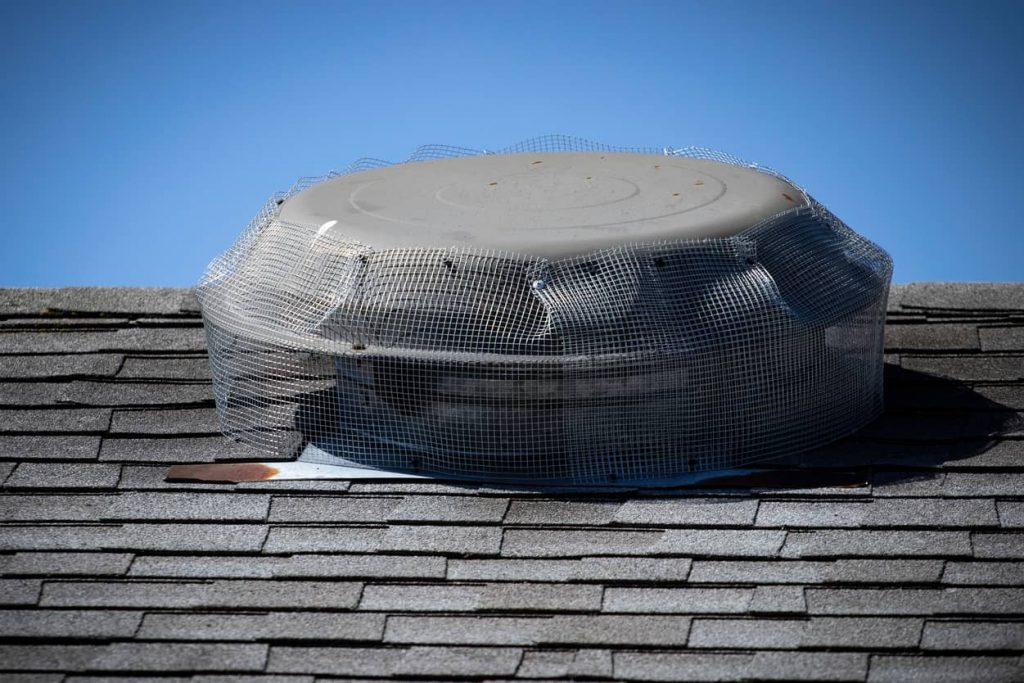 Wire mesh to keep the bats out of your attic.