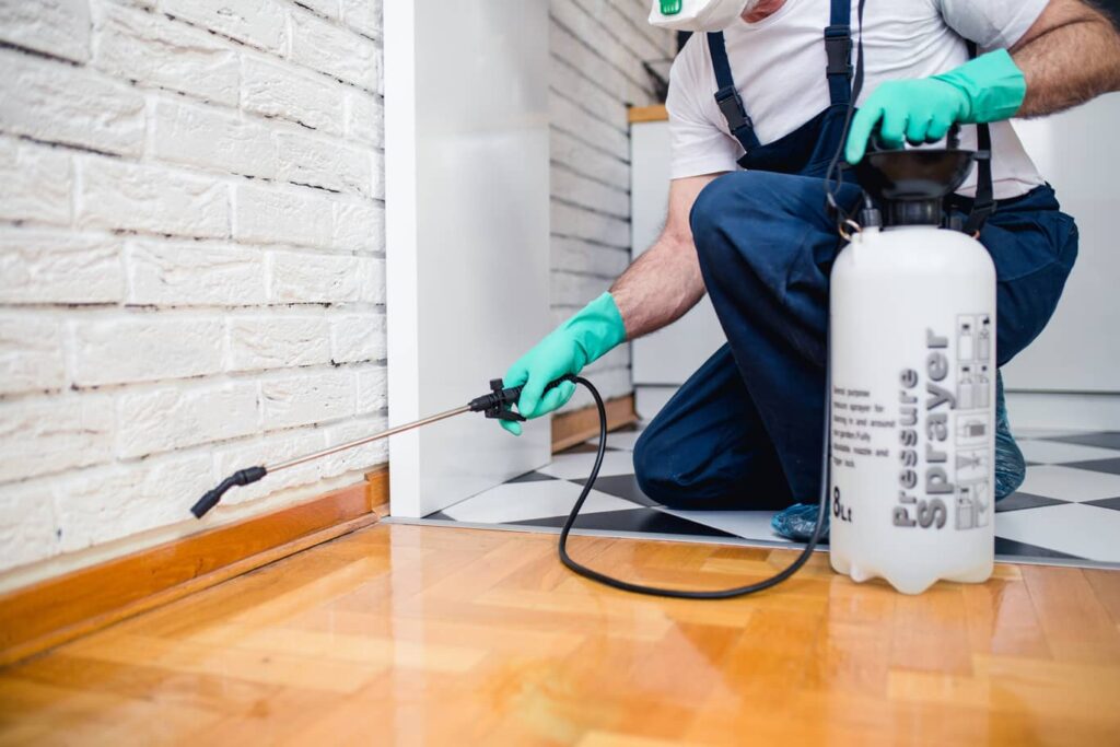 Hire a reputable pest control company to ensure your home and pets are protected from pests.