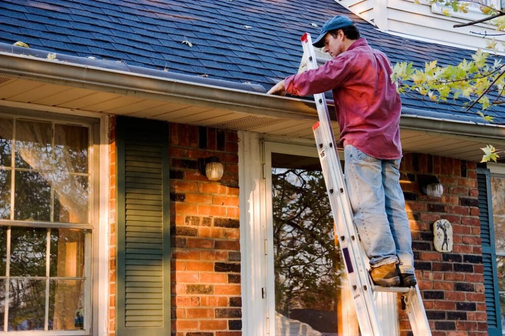 Cleaning out the gutters is a way to avoid pests in the home.