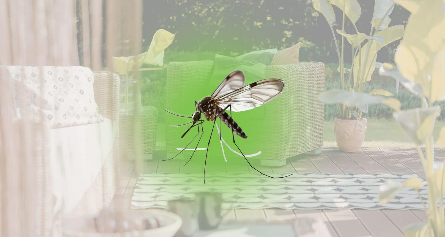 How to Keep Mosquitoes Away While Sitting Outside