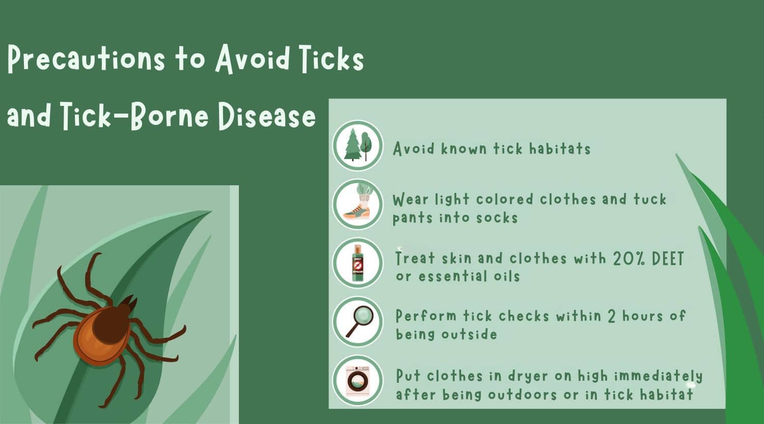 How Long Can Ticks Live in Your House? All South Pest Control