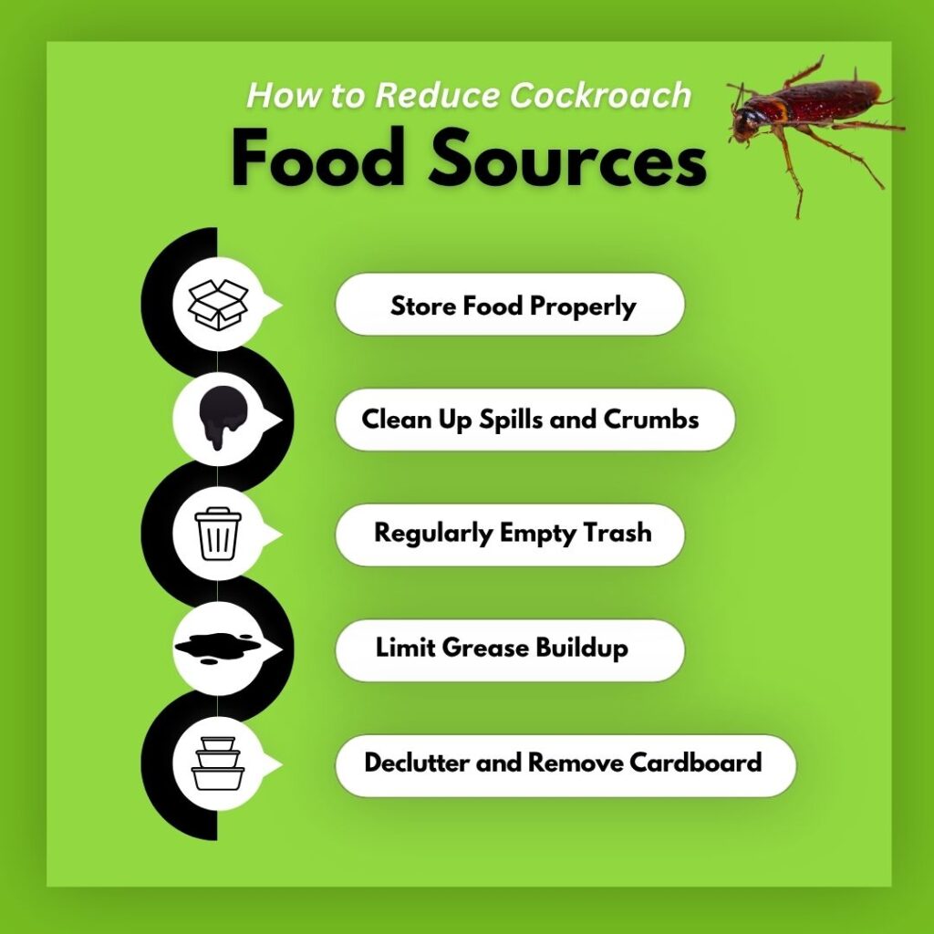 Infographic titled "How to Reduce Cockroach Food Sources" listing five prevention steps: store food properly, clean up spills, empty trash regularly, limit grease buildup, and remove cardboard.