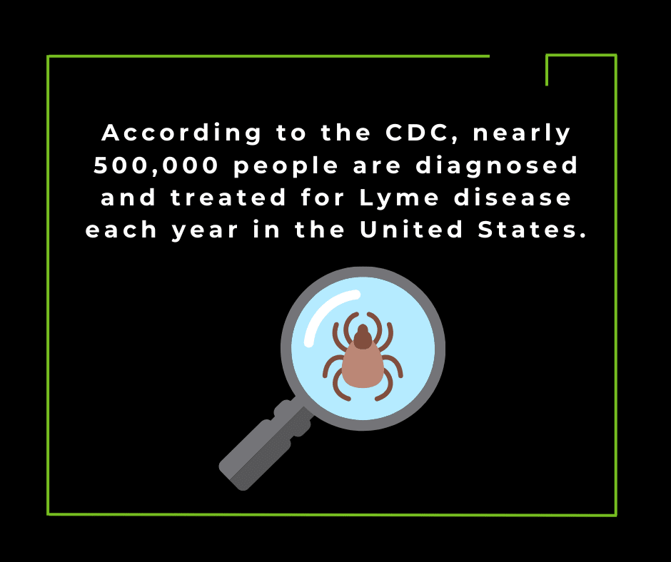 tick repellent importance