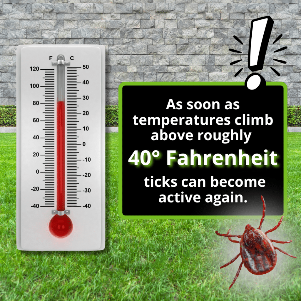 Tick Riskmeter Do Ticks Die in Winter? What Homeowners Should Know - All South Pest ...