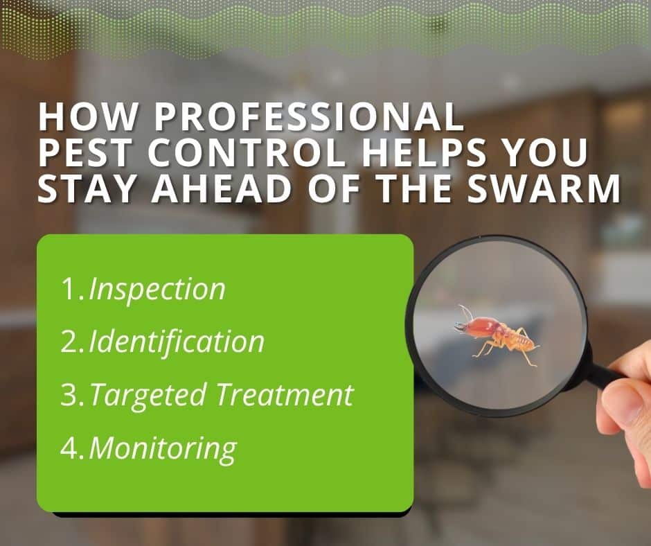 An infographic outlining how professional pest control works through four steps: 1. Inspection, 2. Identification, 3. Targeted Treatment, and 4. Monitoring. The graphic features a magnifying glass focused on a termite to show how experts stay ahead of the swarm.