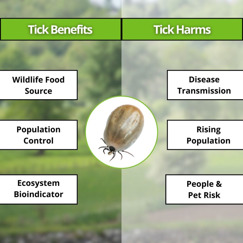 A comparison chart listing tick benefits, such as being a food source, against harms like disease transmission and pet risk.