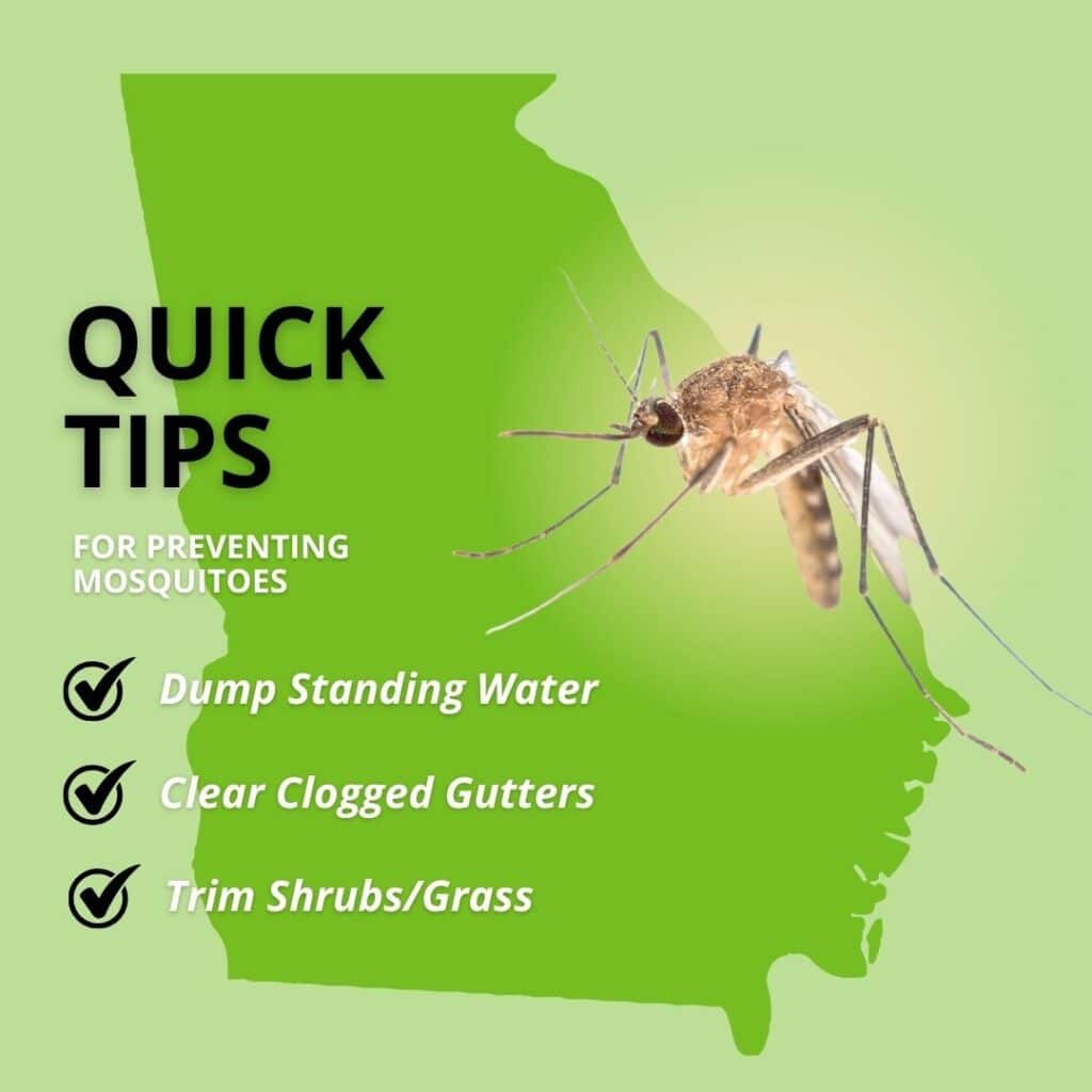 Infographic titled "Quick Tips for Preventing Mosquitoes" featuring a checklist of actions: Dump Standing Water, Clear Clogged Gutters, and Trim Shrubs/Grass, all presented over an outline map of the state of Georgia.