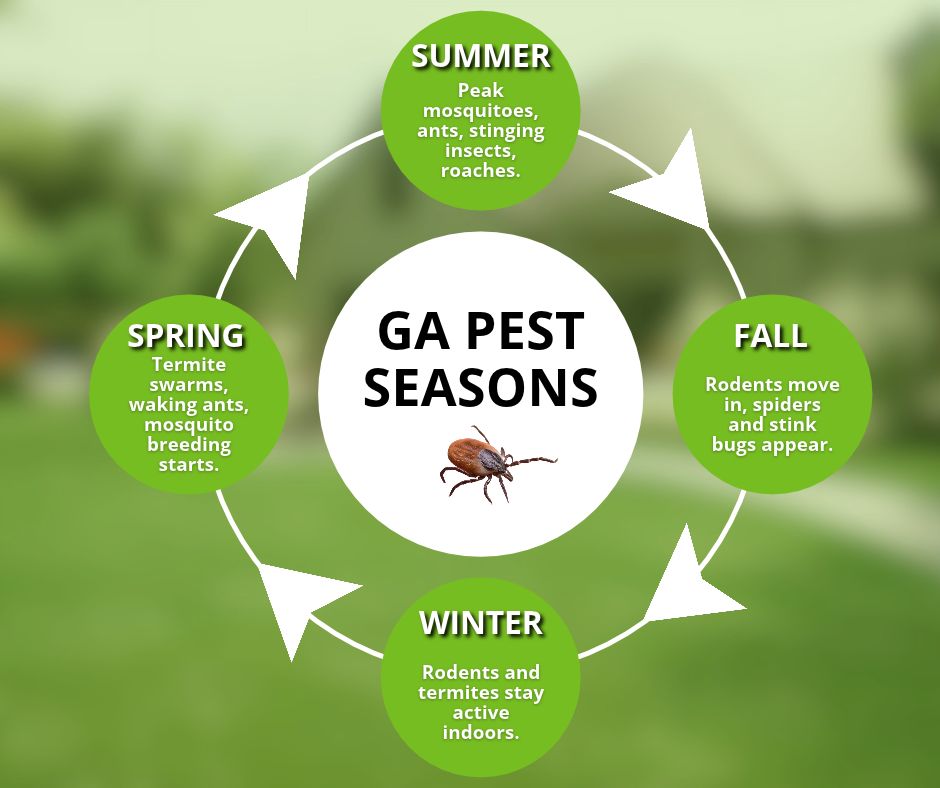 Circular infographic titled "GA Pest Seasons" detailing common active pests for Spring, Summer, Fall, and Winter surrounding a central tick icon.
